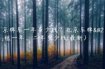 租京牌车一年多少钱？北京车牌出租一年、二年多少钱(最新）