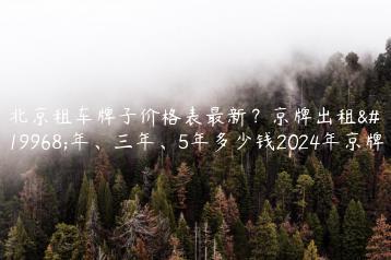 北京租车牌子价格表最新？京牌出租一年、三年、5年多少钱2024年京牌