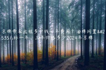 京牌带车出租多少钱一年费用？油牌闲置指标一年、三年价格多少2024年京牌