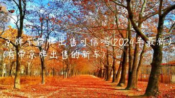 京牌车带牌出售可信吗(2024年最新）(有带京牌出售的新车)