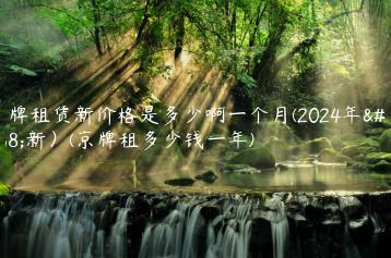 京牌租赁新价格是多少啊一个月(2024年最新）(京牌租多少钱一年)