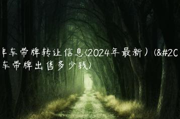 京牌车带牌转让信息(2024年最新）(京牌车带牌出售多少钱)