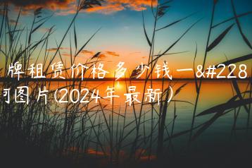 京牌租赁价格多少钱一天啊图片(2024年最新）