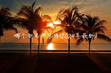 哪个新车带京牌(2024年最新）