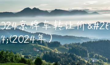 2024京牌车转让价格(2024年）