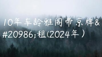 10年车龄雅阁带京牌出租(2024年）