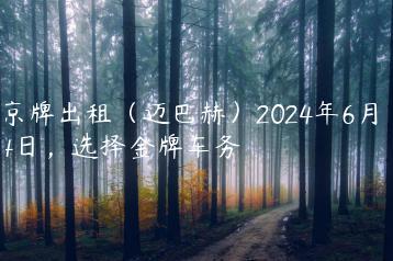 京牌出租（迈巴赫）2024年6月14日，选择金牌车务