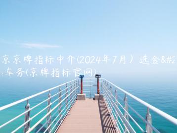 北京京牌指标中介(2024年7月）选金牌车务(京牌指标官网)