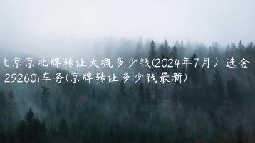 北京京北牌转让大概多少钱(2024年7月）选金牌车务(京牌转让多少钱最新)