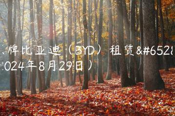 京牌比亚迪（BYD）租赁（2024年8月29日）