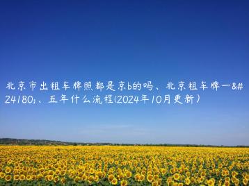 北京市出租车牌照都是京b的吗、北京租车牌一年、五年什么流程(2024年10月更新）