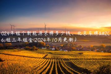 2024年租个新能源京牌多少钱、北京车牌出租三年租金(2024年10月更新）