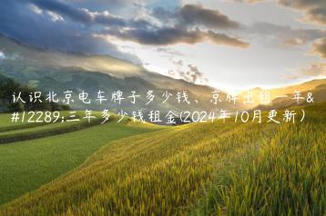 认识北京电车牌子多少钱、京牌出租一年、三年多少钱租金(2024年10月更新）