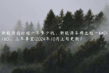 新能源指标租一年多少钱、新能源车牌出租一年、三年事宜(2024年10月上旬更新）