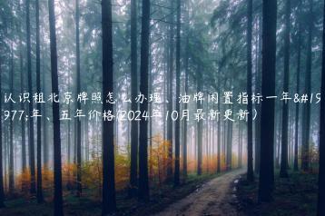 认识租北京牌照怎么办理、油牌闲置指标一年三年、五年价格(2024年10月最新更新）