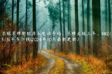 求租京牌新能源车电话号码、京牌出租三年、十年多少钱(2024年10月最新更新）