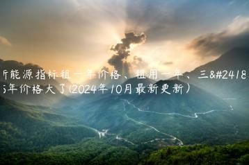 新能源指标租一年价格、租用一年、三年5年价格大了(2024年10月最新更新）