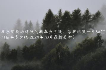 北京新能源牌照的新车多少钱、京牌租赁一年五年多少钱(2024年10月最新更新）