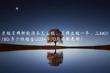 求租京牌新能源车怎么租、京牌出租一年、三年多少钱租金(2024年10月最新更新）