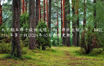 北京租车牌手续的流程、北京牌照出租三年、五年多少钱(2024年10月最新更新）