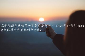 北京新能源车牌租用一年费用是多少？  (2024年11月）(北京新能源车牌能租到多少钱)