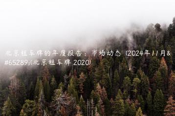 北京租车牌的年度报告：市场动态  (2024年11月）(北京租车牌 2020)