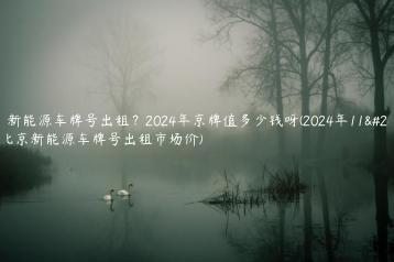 北京新能源车牌号出租？2024年京牌值多少钱呀(2024年11月）(北京新能源车牌号出租市场价)