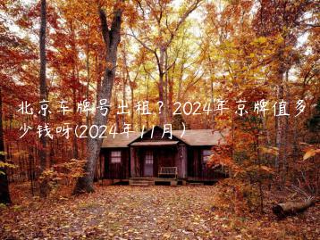 北京车牌号出租？2024年京牌值多少钱呀(2024年11月）