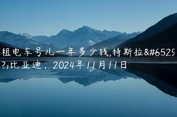 租电车号儿一年多少钱,特斯拉，比亚迪，2024年11月11日