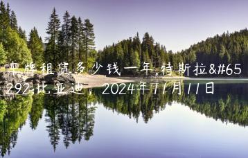 车牌租赁多少钱一年,特斯拉，比亚迪，2024年11月11日