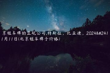 北京租车牌的正规公司,特斯拉，比亚迪，2024年11月11日(北京租车牌子价格)