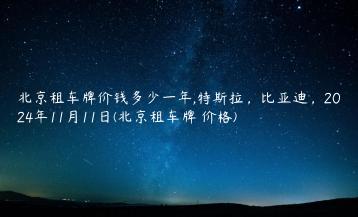 北京租车牌价钱多少一年,特斯拉，比亚迪，2024年11月11日(北京租车牌 价格)