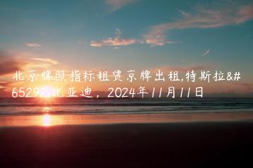 北京牌照指标租赁京牌出租,特斯拉，比亚迪，2024年11月11日