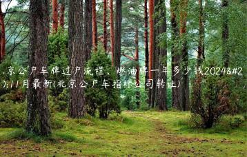 北京公户车牌过户流程、燃油牌一年多少钱2024年11月最新(北京公户车指标公司转让)